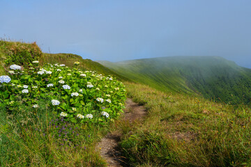 Obraz premium Kraterrand des Gabeco Gordo auf der Insel Faial