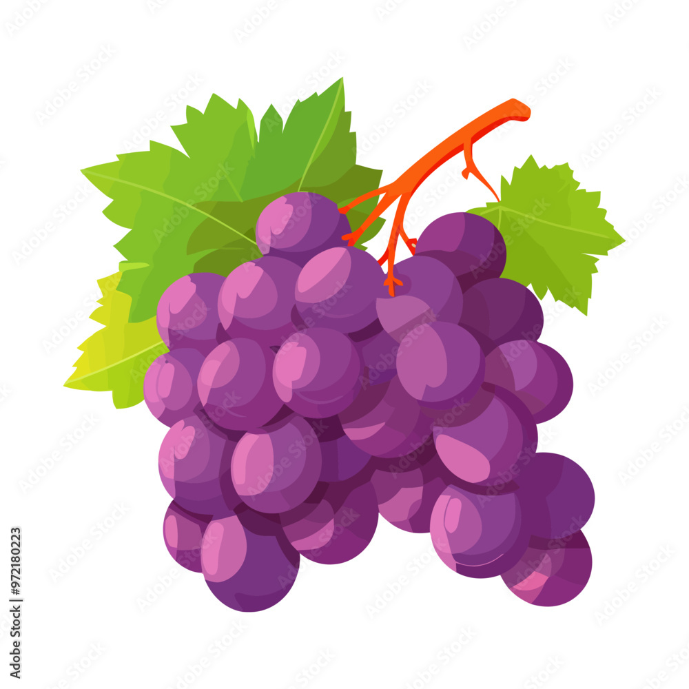 Aufkleber grape icon isolated. bunch of wine grapes with leaf. grape image in flat design. vector illustration