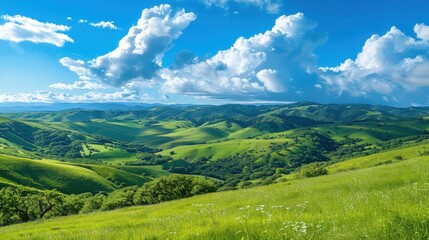 Obraz premium A panoramic view of rolling green hills and meadows under a bright blue sky dotted with puffy white clouds