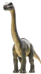 Brachiosaurus dinosaur isolated on white background