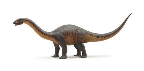 Obraz premium Brachiosaurus dinosaur isolated on white background