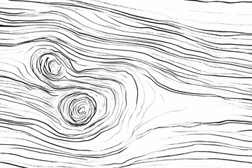 Background image of wood slice with detailed wooden texture for stocks.