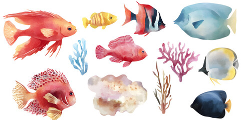 Coral reef fish collection isolated on white background