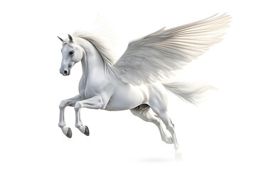 Realistic Illustration of white pegasus horse, phantasy animal isolated on white background 