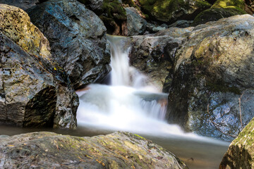 waterfall in the forest