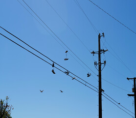 Where our feet take us