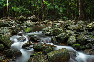 Rainforest creek in the Wet Tropics World Heritage Area of northern Queensland, Australia