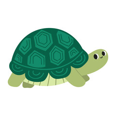 Turtle cartoon illustration