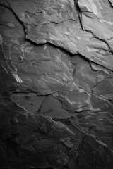 A close-up view of layered gray stone texture against a dark vertical background