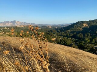 Autumn in the mountains. Landscape in the vicinity of the city of Pittsburg (California. USA)
