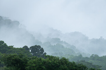 Misty rainforest mountains in the Wet Tropics World Heritage Area, northern Queensland, Australia