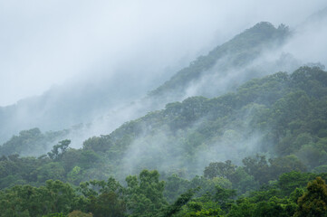 Misty rainforest mountains in the Wet Tropics World Heritage Area, northern Queensland, Australia