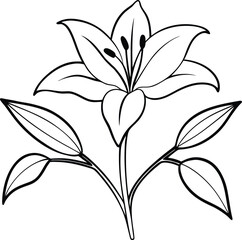 Lily and Buds Silhouette Vector Style Illustration