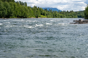 Målselva river near Målselvfossen in Norway in summer