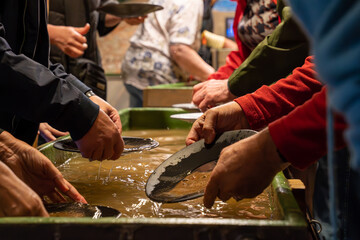Tourists gold panning in Tankavaara Gold Village in Finland