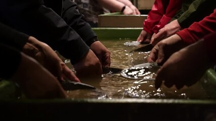Tourists gold panning in Tankavaara Gold Village in Finland
