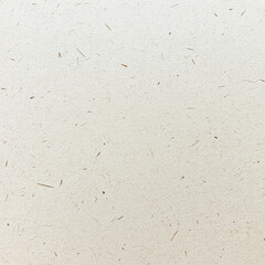 White paper texture, with small thin light brown wood shavings scattered across the surface, subtle and delicate.