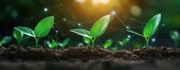 Abstract tech seed evolving into strategic innovation, glowing data lines, 3D illustration