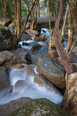 Rainforest creek in the Wet Tropics World Heritage Area of northern Queensland, Australia