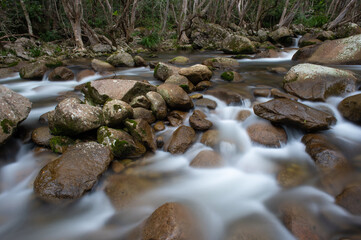 Rainforest creek in the Wet Tropics World Heritage Area of northern Queensland, Australia