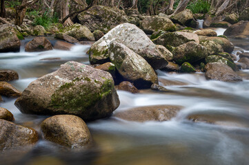 Rainforest creek in the Wet Tropics World Heritage Area of northern Queensland, Australia