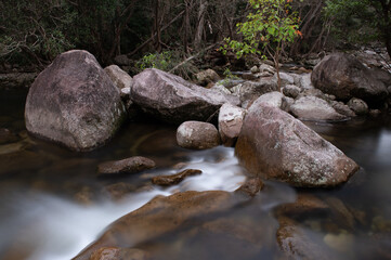 Rainforest creek in the Wet Tropics World Heritage Area of northern Queensland, Australia