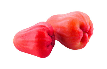 Red rose apple on transparent png