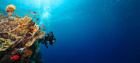 Scuba Diver Swimming in Deep Sea with Sunrays and Beautiful Coral Reef with Colorful Fishes