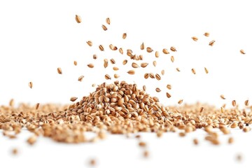 A pile of wheat seeds on a white surface, ideal for illustrations and designs related to agriculture and nature