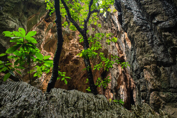 Limestone caves at Chillagoe, north Queensland, Australia