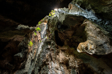 Limestone caves at Chillagoe, north Queensland, Australia