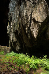 Limestone caves at Chillagoe, north Queensland, Australia