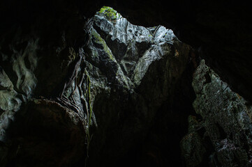 Limestone caves at Chillagoe, north Queensland, Australia
