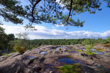Marie Stuart point of view in The Franchard gorges. Fontainebleau forest