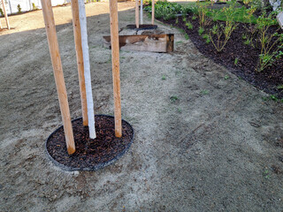 stabilization of slopes by hydro sowing. a mixture of wood pulp and green grass seed is sprayed...