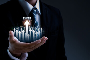 Business plan targets the new year 2025 growth. Budget, finance, goal, success, profit, investment....