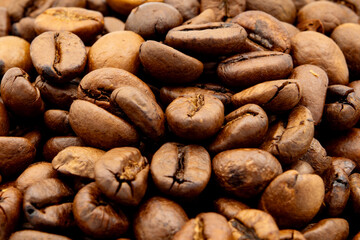 fresh roasted arabica coffee beans close-up
