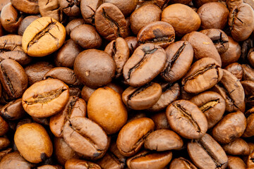 fresh roasted arabica coffee beans close-up