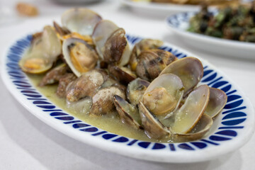 Close up view of just cooked clams ready to eat