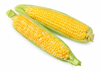 Fresh corn on cob isolated on white background. clipping path