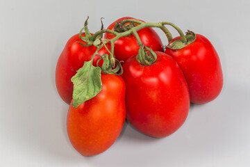 Harvested twig of red tomatoes on a gray background