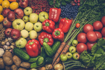 Bio food. Garden produce and harvested vegetables. Fresh farm vegetable, background.