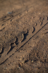land used for motorbike tires