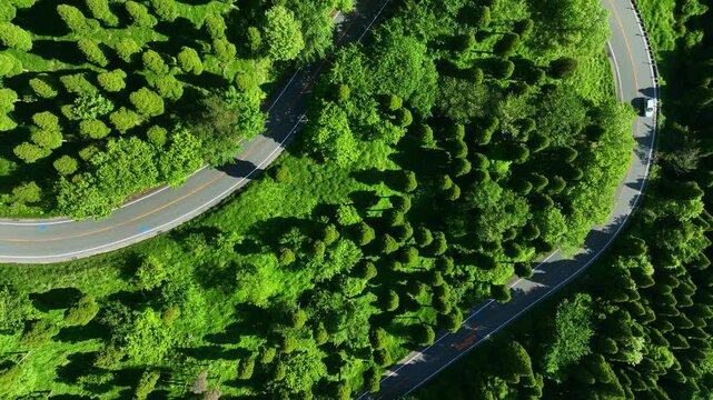 森林と道路　真俯瞰空撮