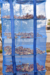 Harvesting and drying the garden with hanging drying net, foldable drying rack, mesh collapsible dry net with zippers for drying seeds, fish, vegetables, fruit, herb