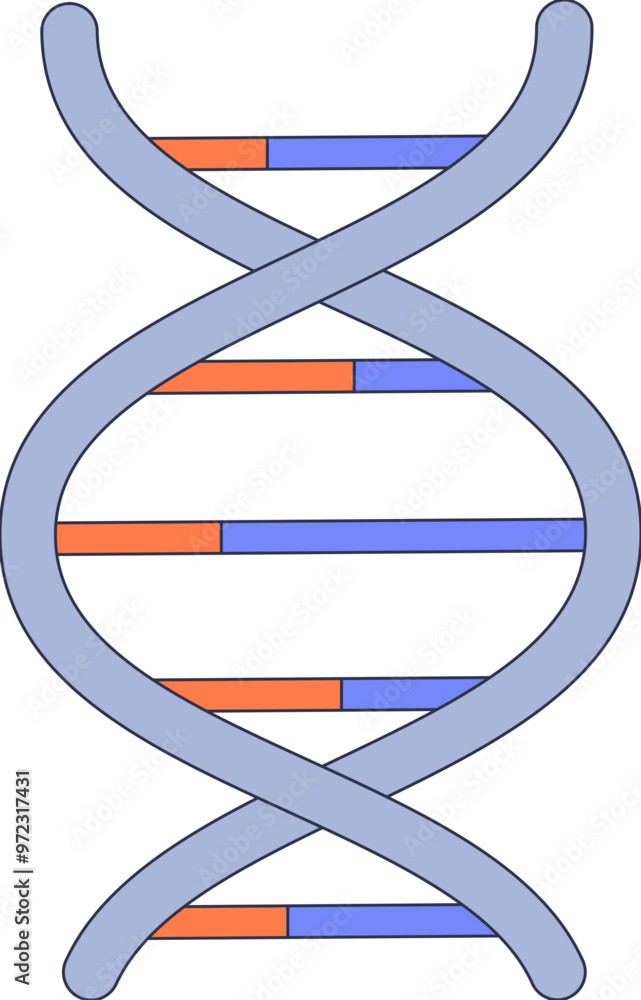 Poster illustration of a dna double helix with color-coded base pairs, symbolizing genetic structure.