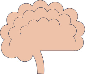 Simplified brain illustration symbolizing cognitive development.