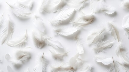 Fototapeta premium A collection of delicate white feathers scattered on a light background.