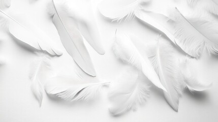 Naklejka premium A collection of delicate white feathers scattered on a textured surface.