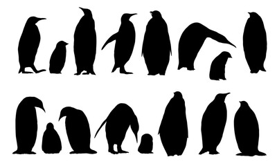Collection of silhouettes of emperor penguins and their chicks. Emperor penguins Aptenodytes forsteri walk and stand. Realistic vector endemic animals of Antarctica